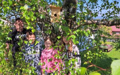 Izrada kućica za ptice i priprema hranilišta za ptice